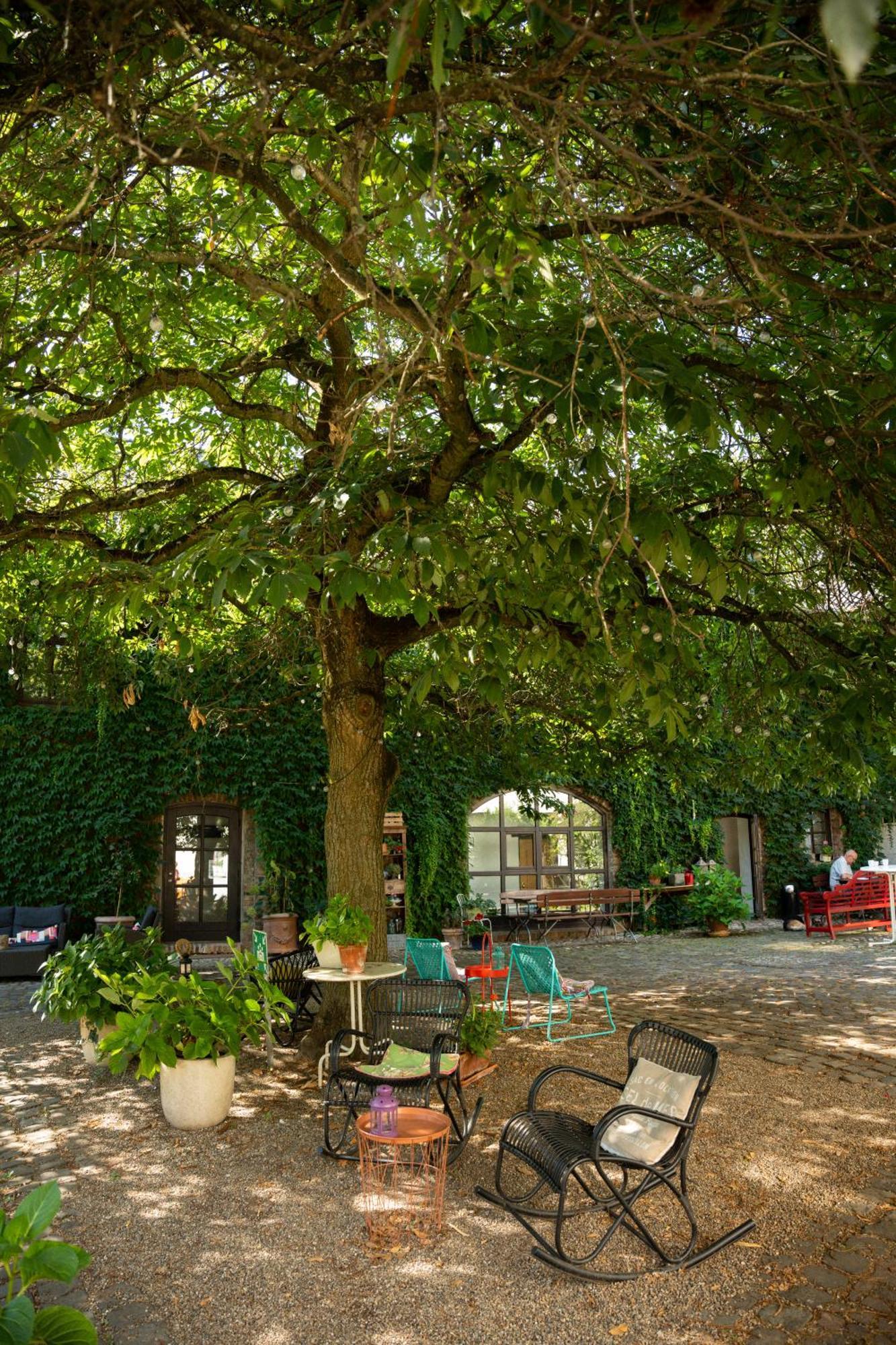Landhaus Danielshof Bedburg Εξωτερικό φωτογραφία