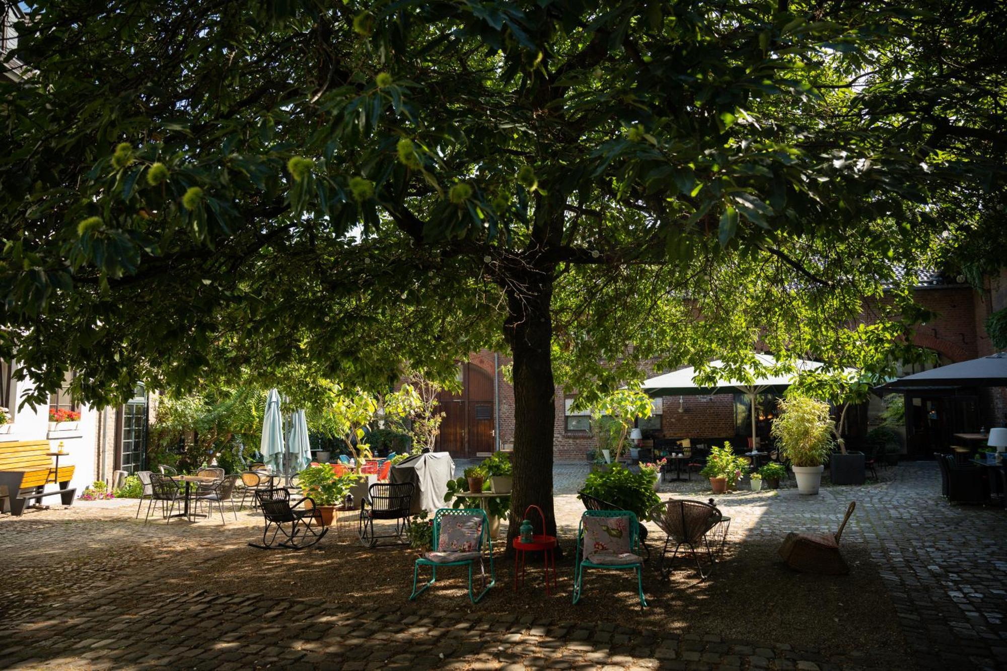 Landhaus Danielshof Bedburg Εξωτερικό φωτογραφία